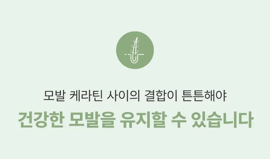 [열보호] 아누코 본드 앤 리페어 헤어 오일 75ml 상세페이지 13
